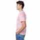 Hanes 5250T Men's Authentic-T T-Shirt