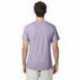 Hanes 42TB Adult Perfect-T Triblend T-Shirt