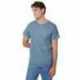 Hanes 5250T Men's Authentic-T T-Shirt