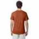 Hanes 42TB Adult Perfect-T Triblend T-Shirt