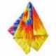 Big Accessories BA001 Solid Bandana