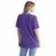 Next Level Apparel 3600SW Unisex Soft Wash T-Shirt