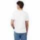 Hanes 5250T Men's Authentic-T T-Shirt