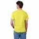 Hanes 5250T Men's Authentic-T T-Shirt