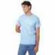 Hanes 5250T Men's Authentic-T T-Shirt