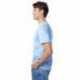 Hanes 5250T Men's Authentic-T T-Shirt