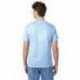 Hanes 5250T Men's Authentic-T T-Shirt