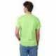 Hanes 5250T Men's Authentic-T T-Shirt