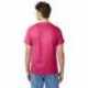 Hanes 5250T Men's Authentic-T T-Shirt