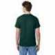 Hanes 5250T Men's Authentic-T T-Shirt
