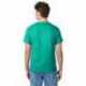 Hanes 5250T Men's Authentic-T T-Shirt