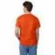 Hanes 5250T Men's Authentic-T T-Shirt