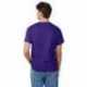 Hanes 5250T Men's Authentic-T T-Shirt