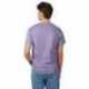 Hanes 5250T Men's Authentic-T T-Shirt