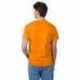Hanes 5250T Men's Authentic-T T-Shirt