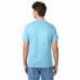 Hanes 5250T Men's Authentic-T T-Shirt