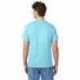 Hanes 5250T Men's Authentic-T T-Shirt