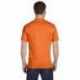 Hanes 5280 Adult Essential Short Sleeve T-Shirt