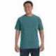 Comfort Colors C1717 Adult Heavyweight T-Shirt