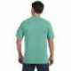 Comfort Colors C1717 Adult Heavyweight T-Shirt