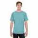 Comfort Colors C4017 Adult Lightweight T-Shirt
