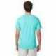 Hanes 42TB Adult Perfect-T Triblend T-Shirt