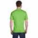 Gildan G800 Adult T-Shirt