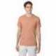 Hanes 42TB Adult Perfect-T Triblend T-Shirt