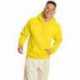 Hanes P170 Unisex Ecosmart Pullover Hooded Sweatshirt