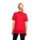 Next Level Apparel 6010 Unisex Triblend T-Shirt