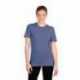 Next Level Apparel 6010 Unisex Triblend T-Shirt