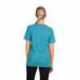 Next Level Apparel 6010 Unisex Triblend T-Shirt