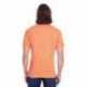 Threadfast Apparel 102A Unisex Triblend Short-Sleeve T-Shirt