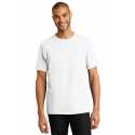 Hanes 5250 Tagless 100% Cotton T-Shirt