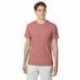 Hanes 42TB Adult Perfect-T Triblend T-Shirt