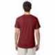 Hanes 42TB Adult Perfect-T Triblend T-Shirt