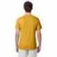Hanes 42TB Adult Perfect-T Triblend T-Shirt