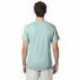 Hanes 42TB Adult Perfect-T Triblend T-Shirt